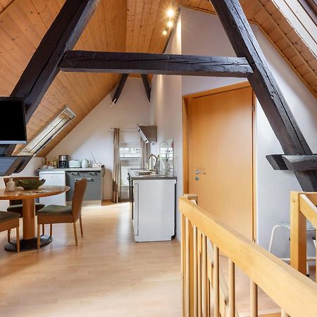 Ferienwohnung An Der Brigach 도나우에싱겐 외부 사진