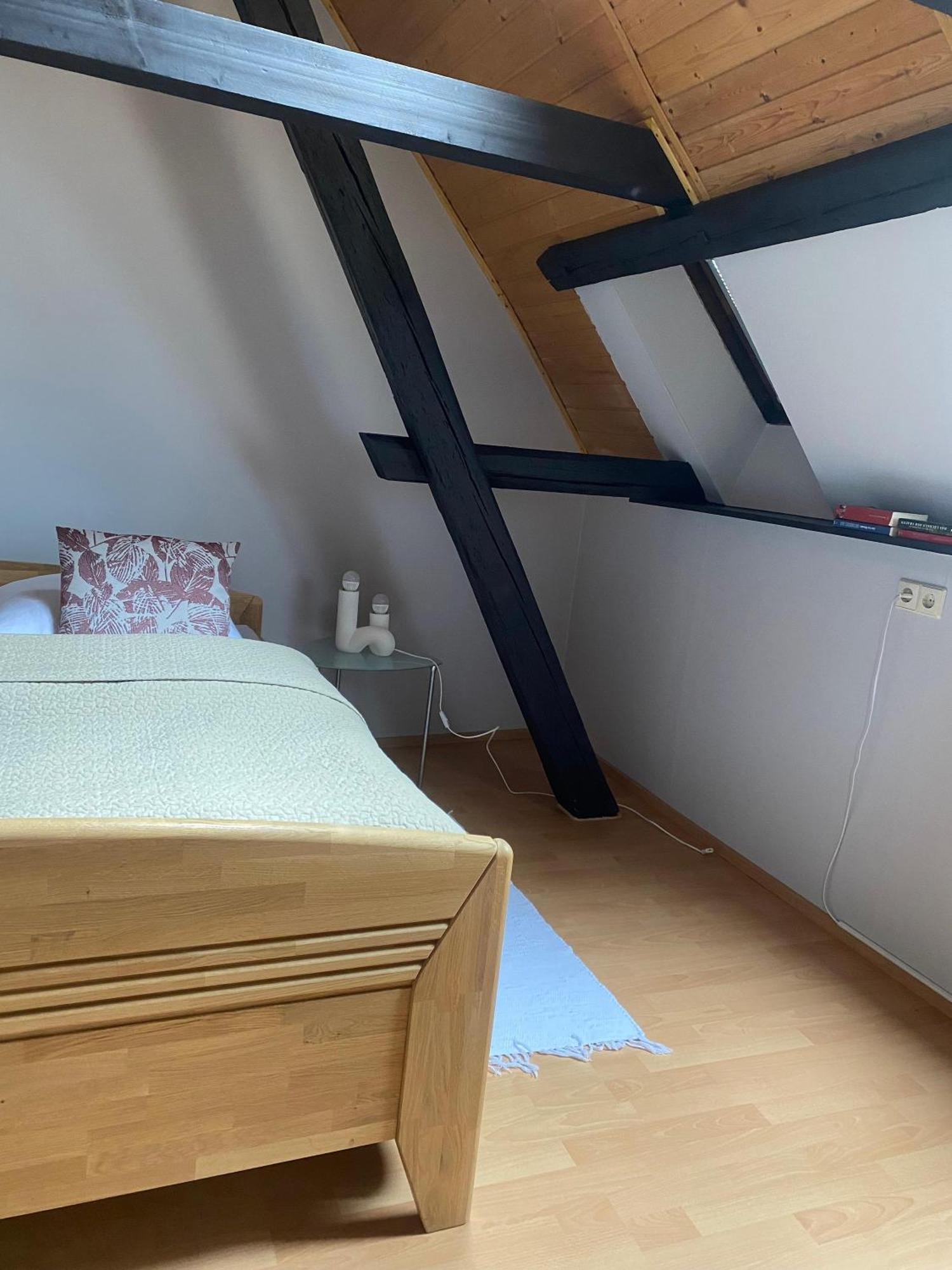 Ferienwohnung An Der Brigach 도나우에싱겐 외부 사진