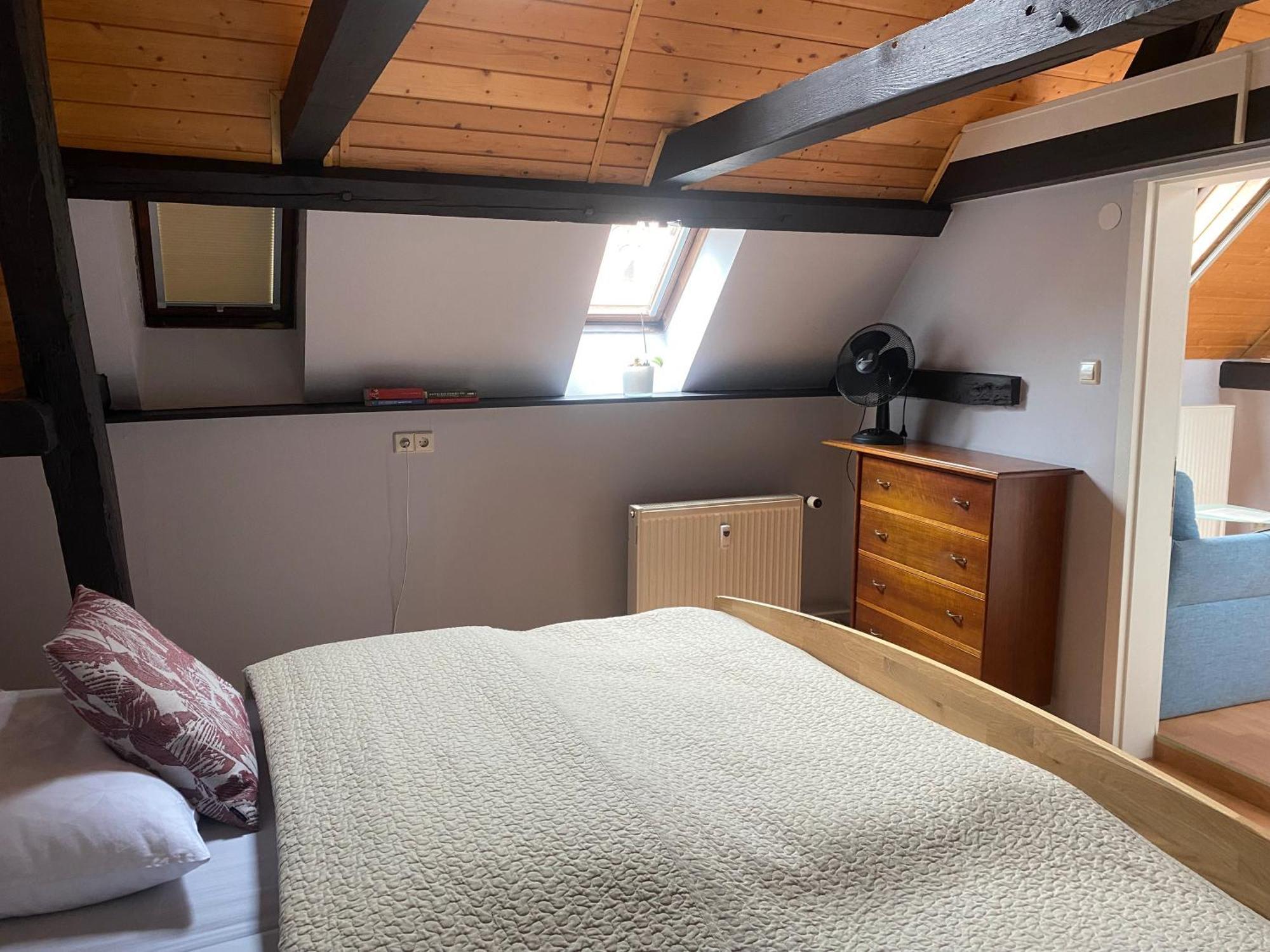 Ferienwohnung An Der Brigach 도나우에싱겐 외부 사진