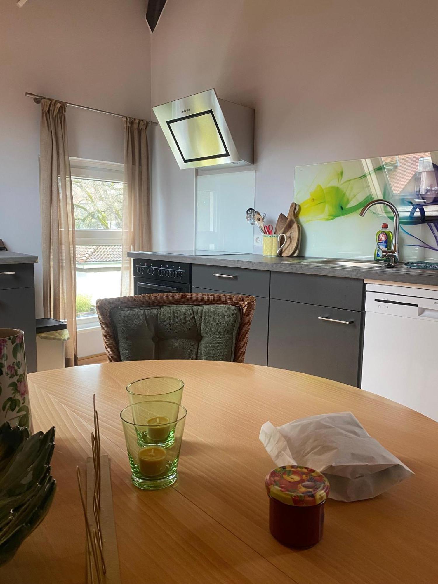 Ferienwohnung An Der Brigach 도나우에싱겐 외부 사진